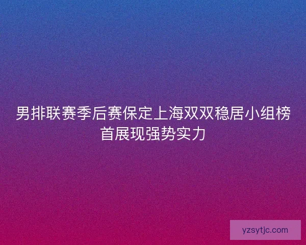 男排联赛季后赛保定上海双双稳居小组榜首展现强势实力